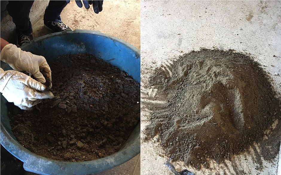 Óleo encontrado nas praias do nordeste pode ser transformado em carvão